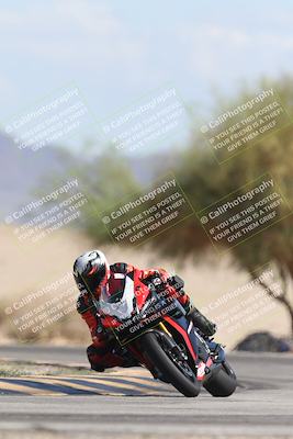 media/Oct-13-2025-Moto Forza (Mon) [[a66d839500]]/3-B Group/Session 4 Turn 4 Tree of Life/